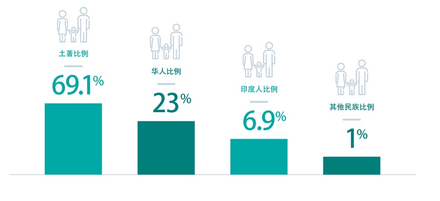 其中馬來人佔總人口的最高比例（69.1%），其次是華人（23%）， 印度人（6.9%）以及其他民族（1%）