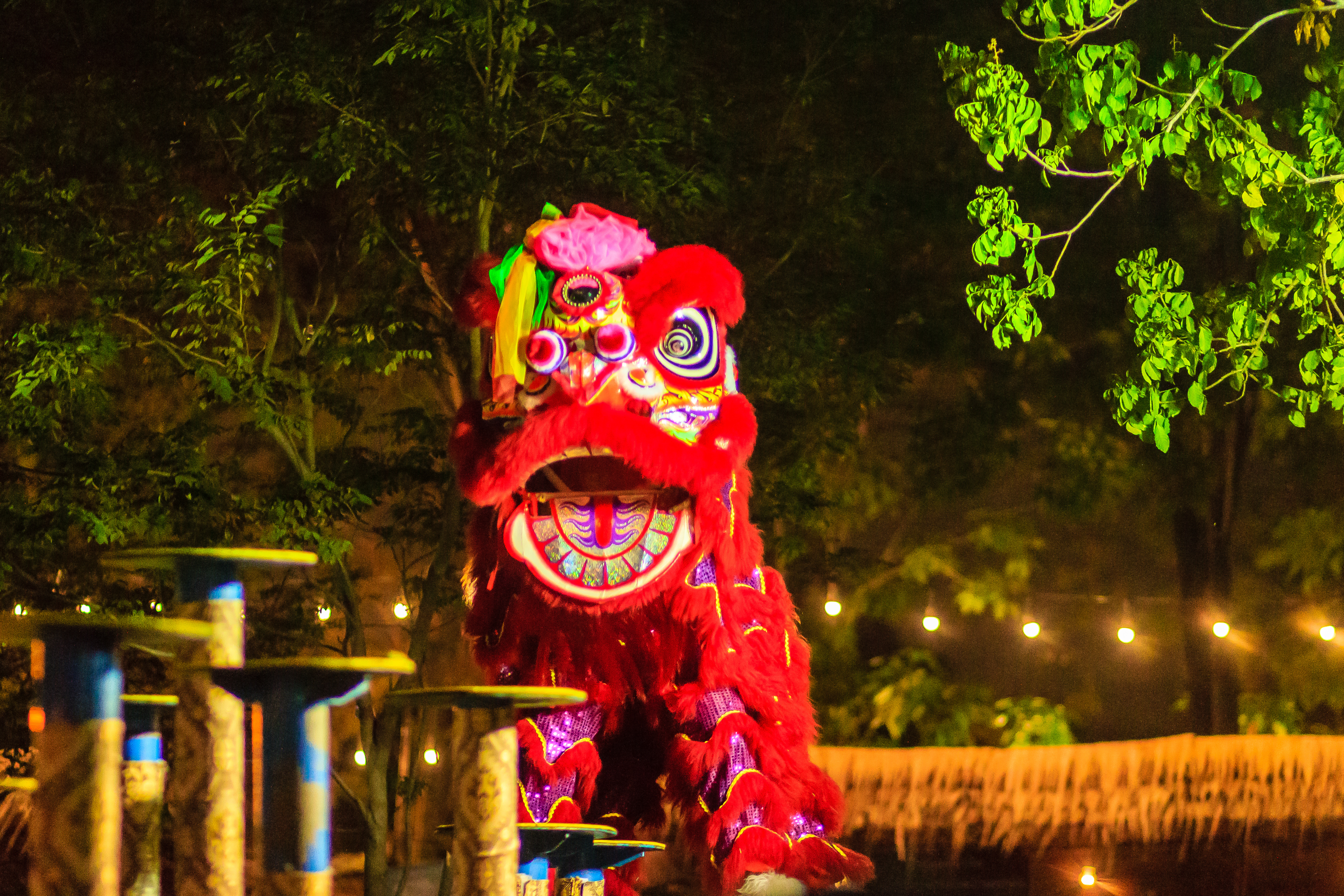 Lion Dance