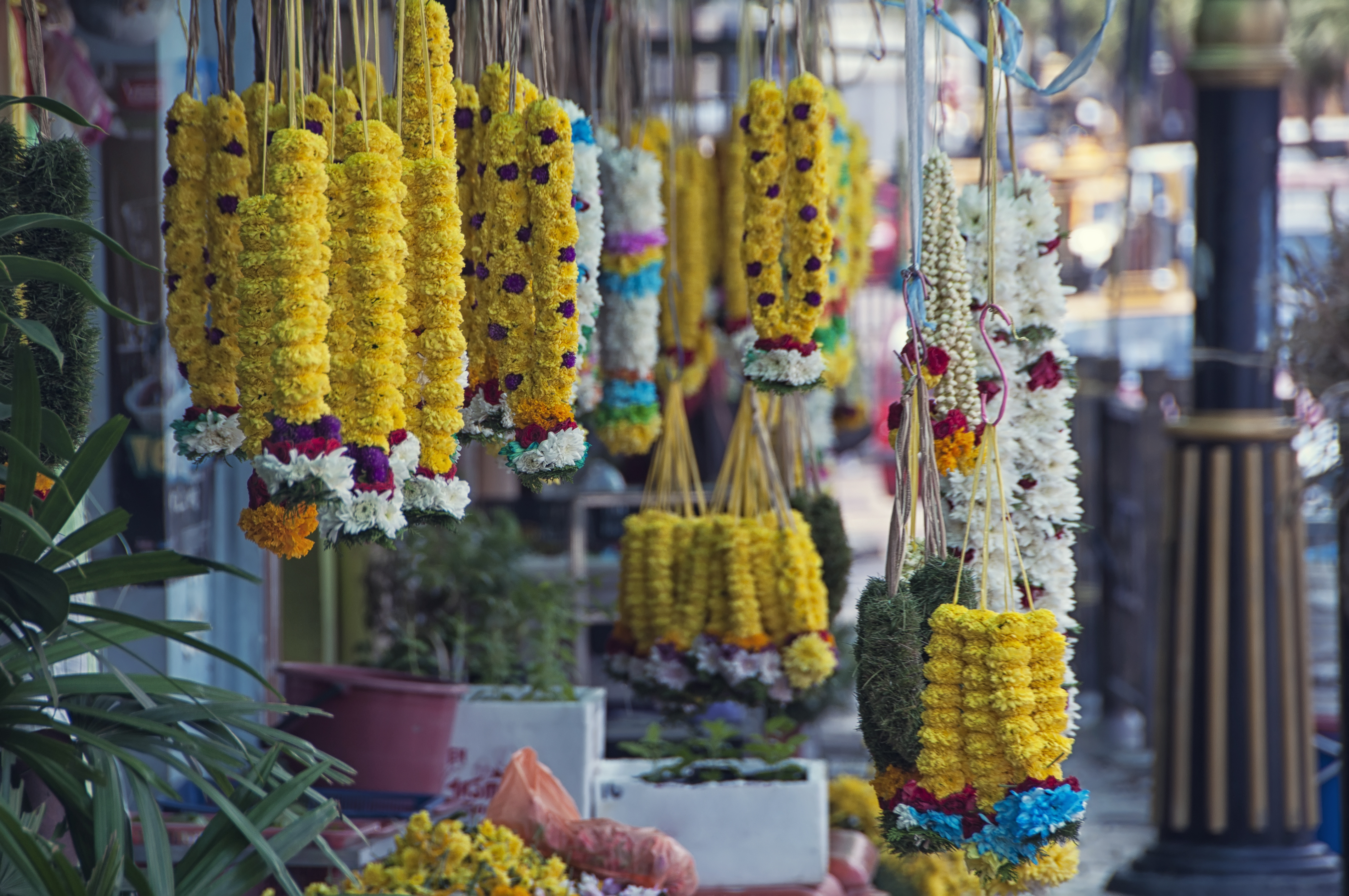 Thaipusam